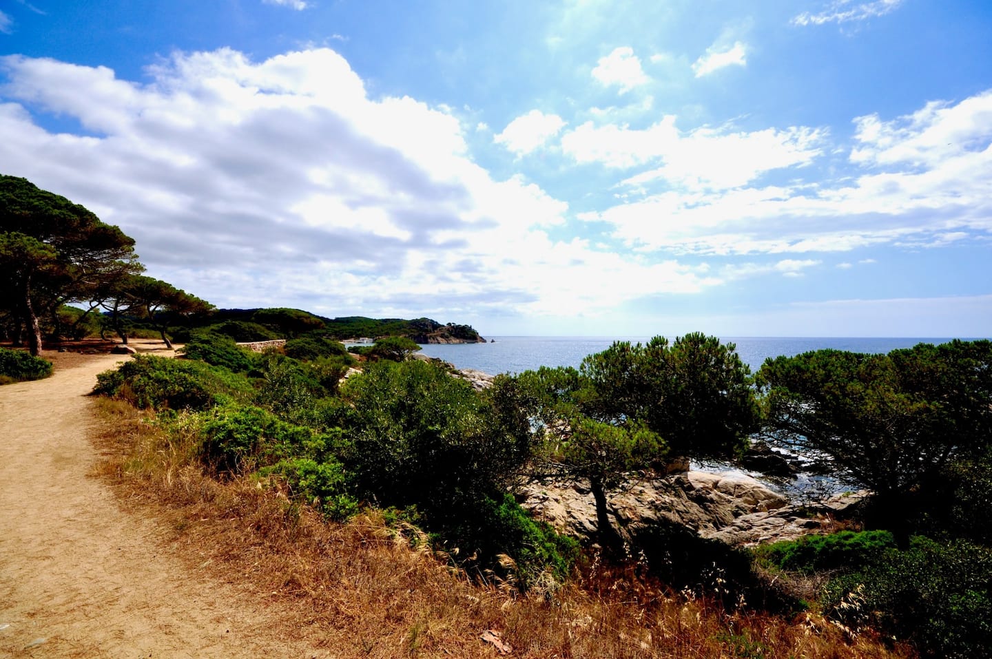 Sentier du Camí de Ronda entre les pins au bord de la mer, près de La Fosca