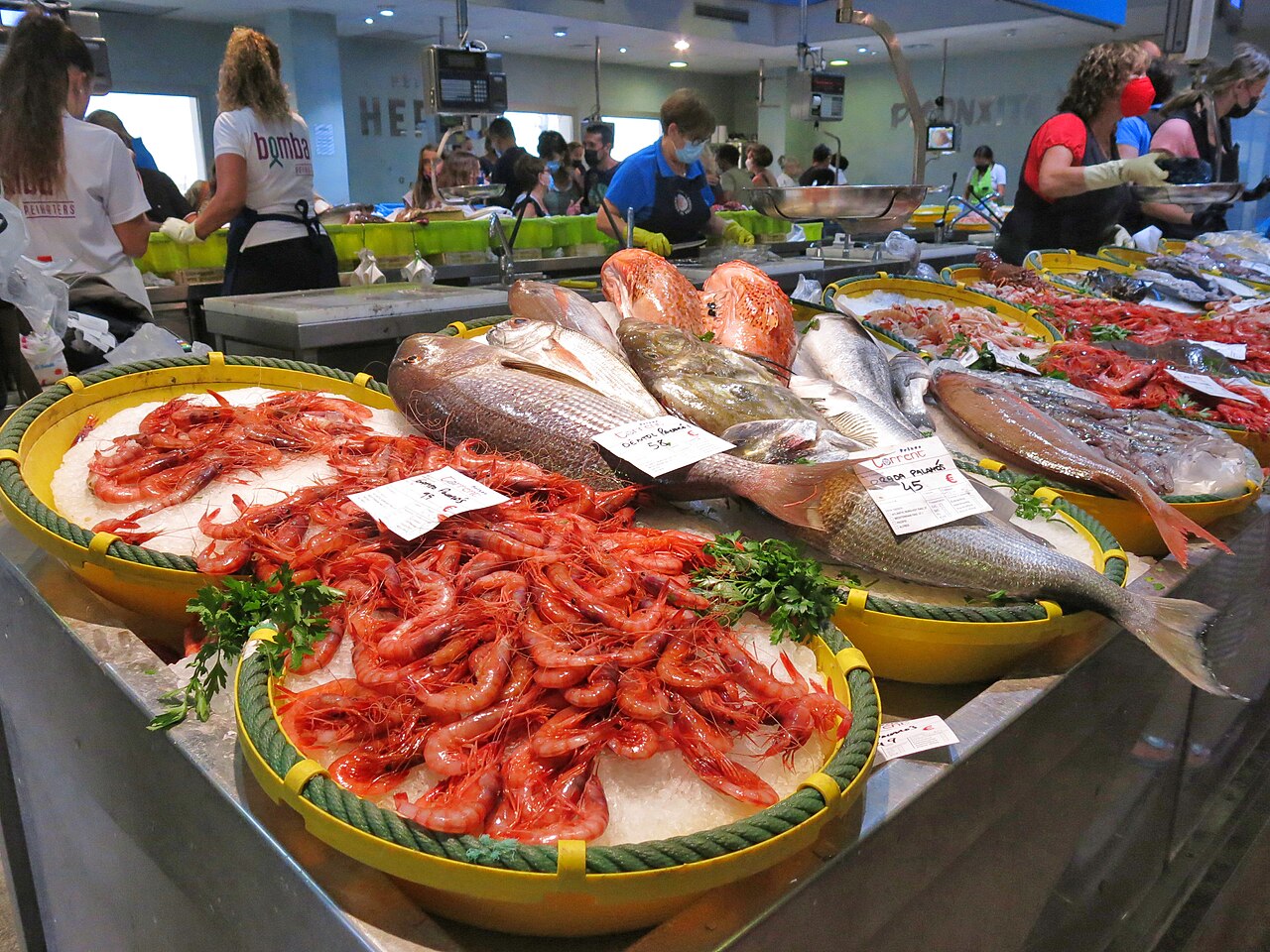 Lloga de peix de Palamós