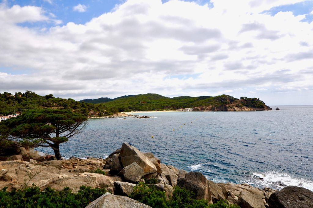 Appartement Dalí, La Fosca (Palamós, Costa Brava) — photo 20
