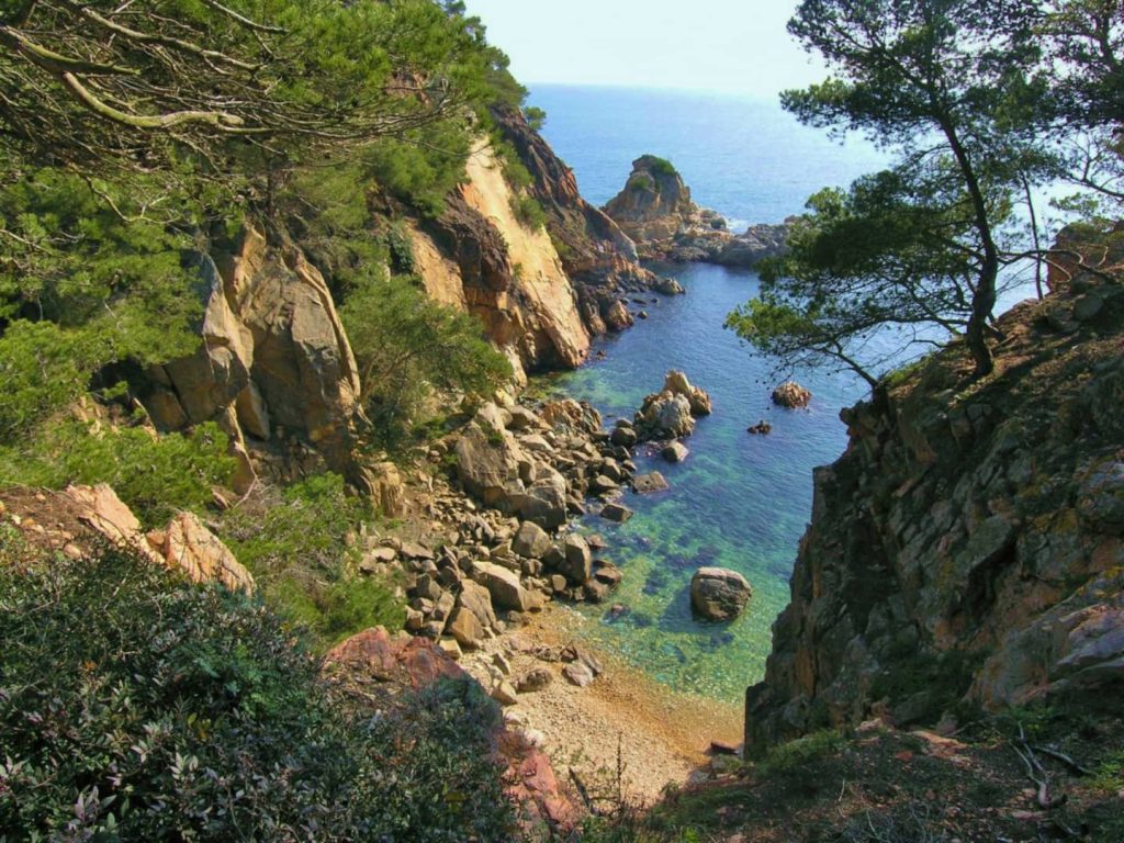 Appartement Dalí, La Fosca (Palamós, Costa Brava) — photo 21