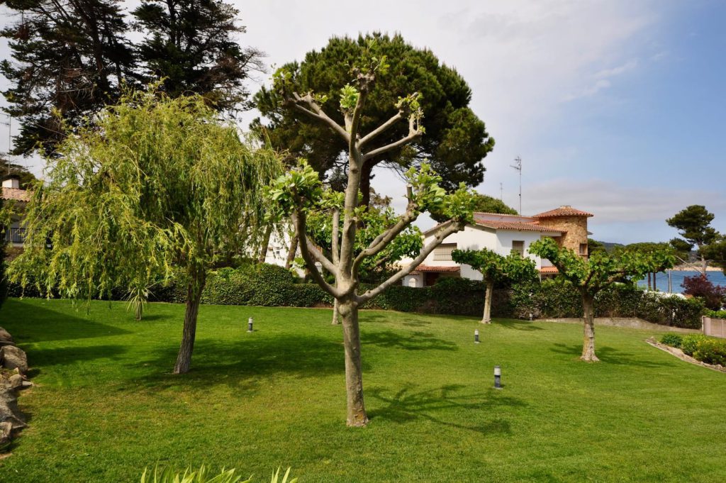Appartement Miró, La Fosca (Palamós, Costa Brava) — photo 21