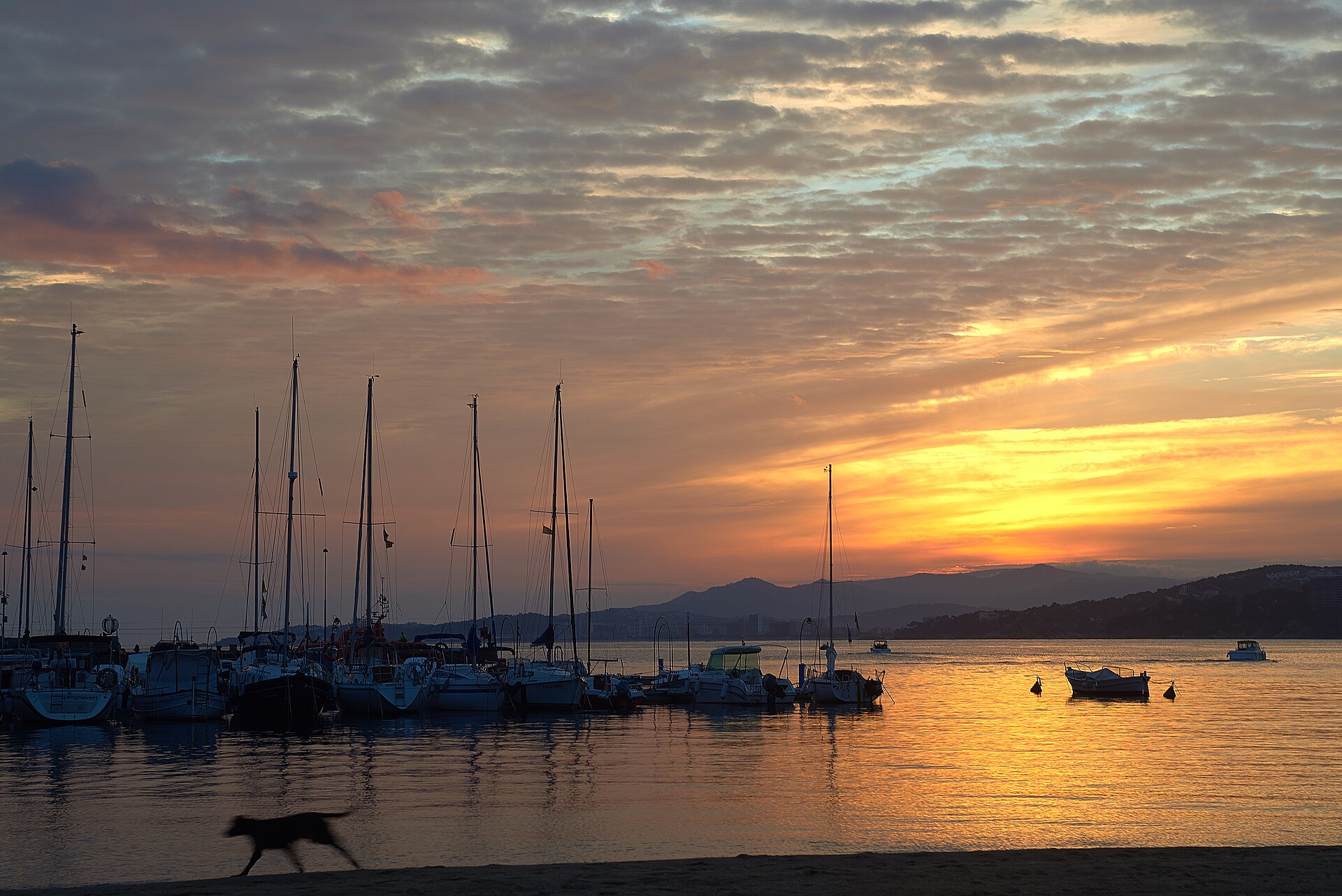 Platja de Palamós — © Apolo07 / CC BY-SA 4.0 (Wikimedia Commons)