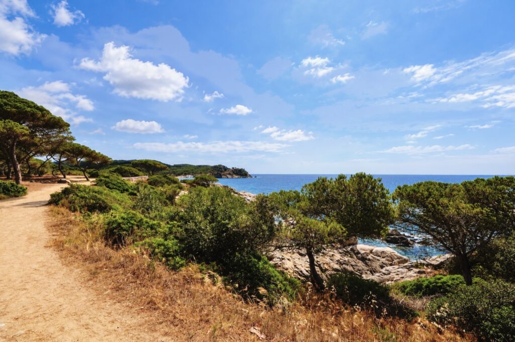 Sentier du Camí de Ronda entre les pins sous le soleil d'été, près de La Fosca