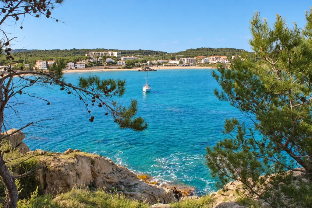 Blick auf die Bucht von La Fosca durch die Pinien hindurch — La Fosca Bay (Palamós, Costa Brava)