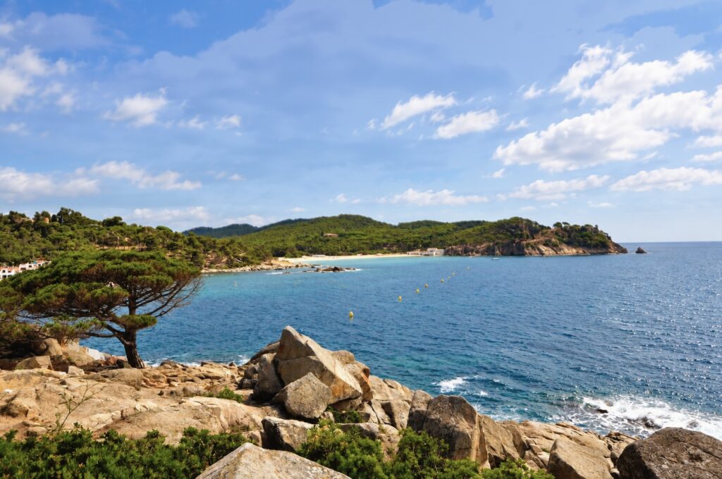Felsige Küste und Pinienwald der Costa Brava — nahe der Ferienwohnung Miró, La Fosca Bay (Palamós, Costa Brava)